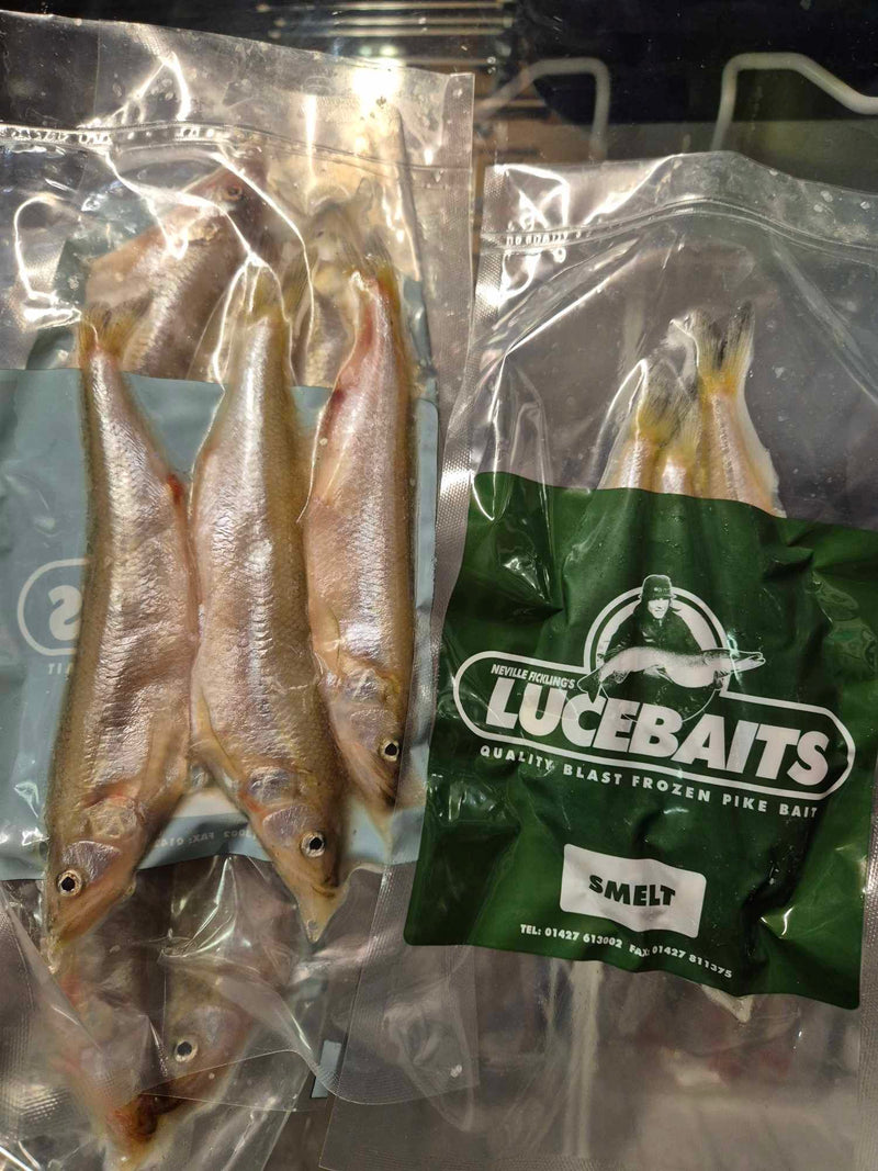 Smelt Large (3 pcs/pack)