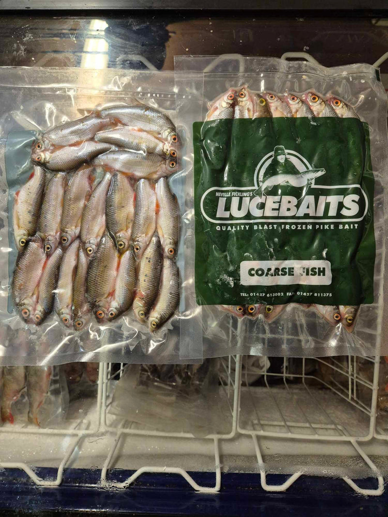 Small Coarse Fish (14-20 pcs/pack)