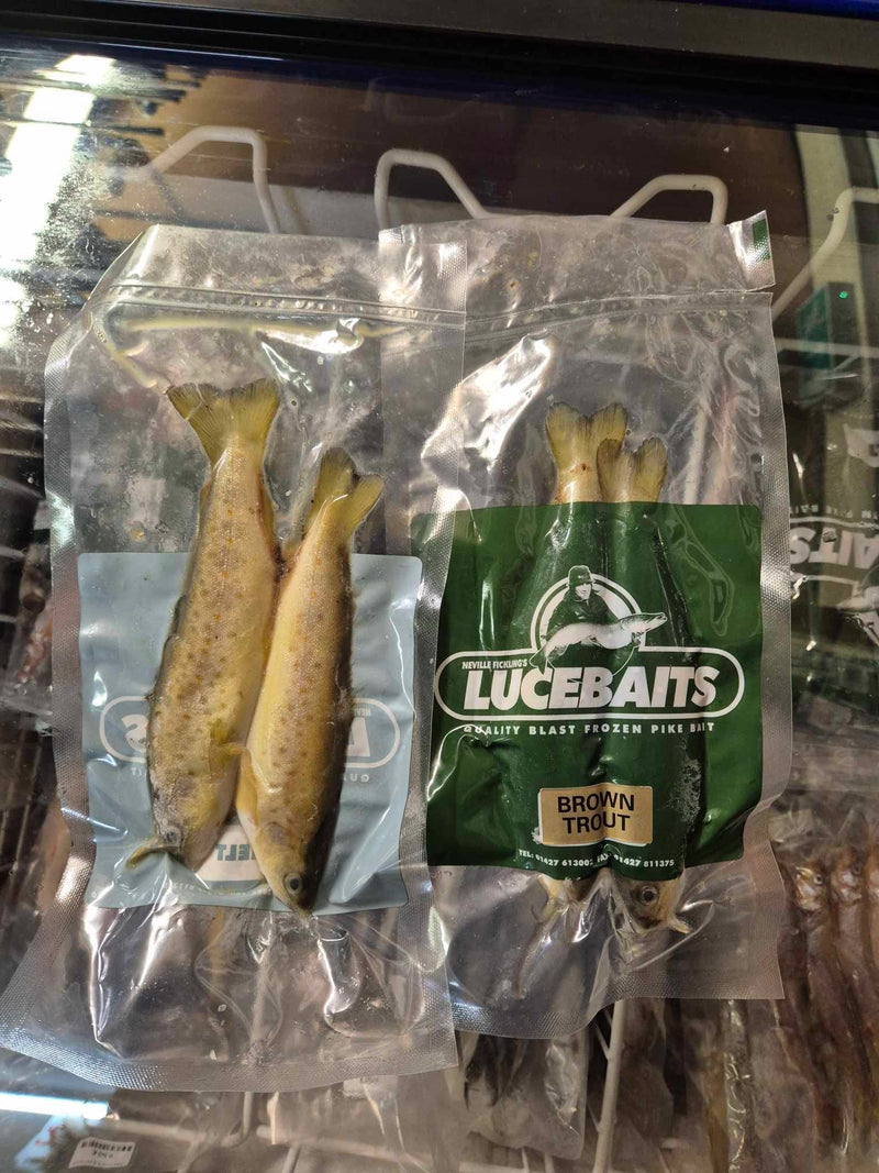 Brown Trout (2 pcs/pack)