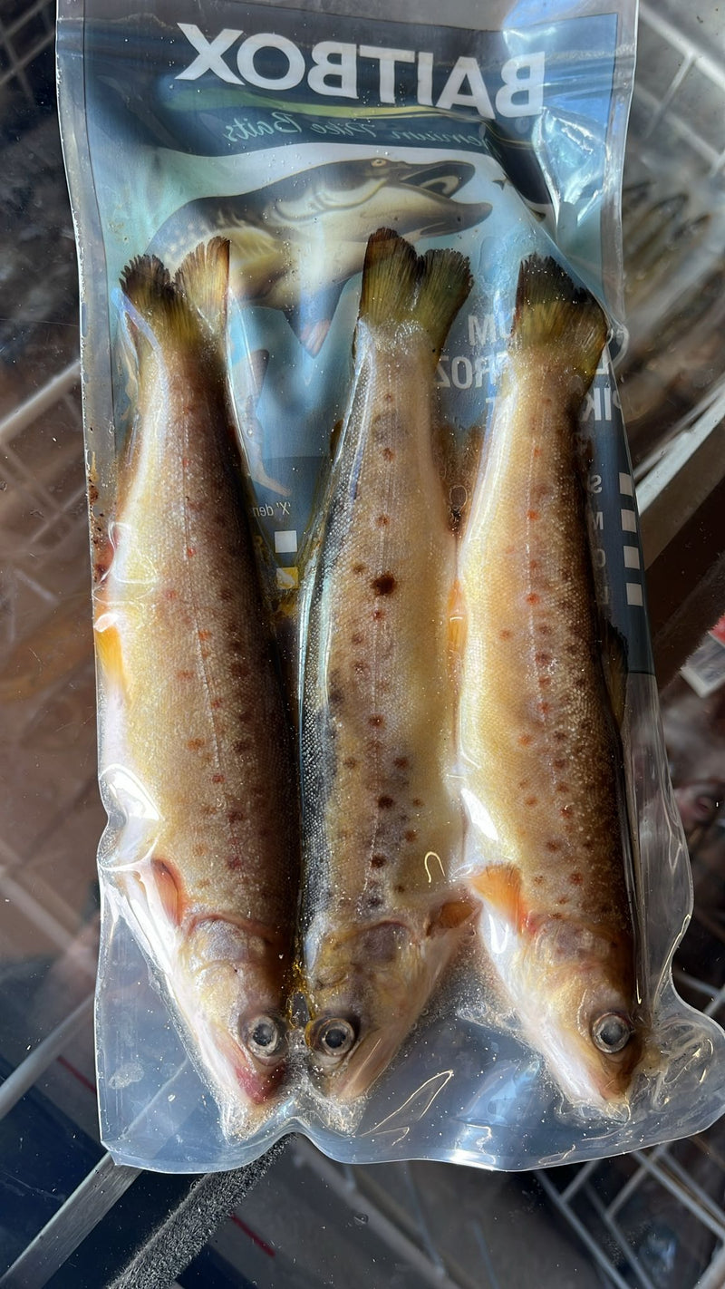 Brown Trout 3 pcs/pack