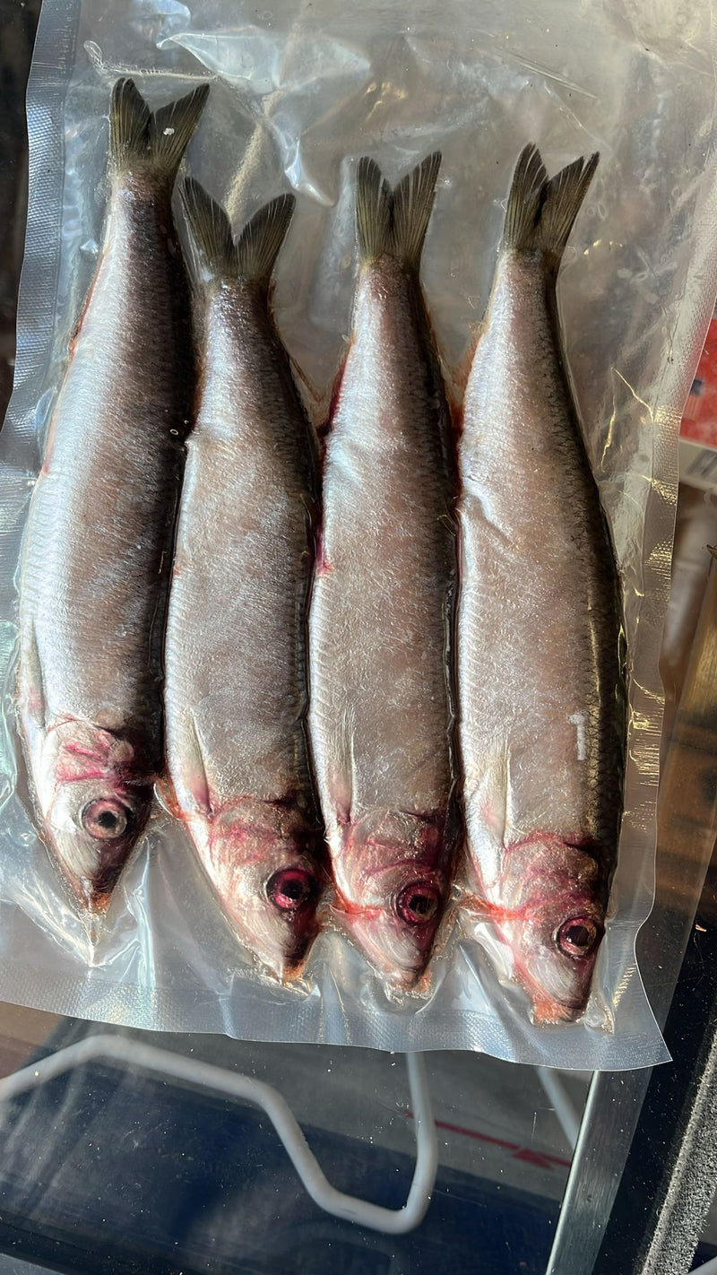 Herring 4 pcs/pack