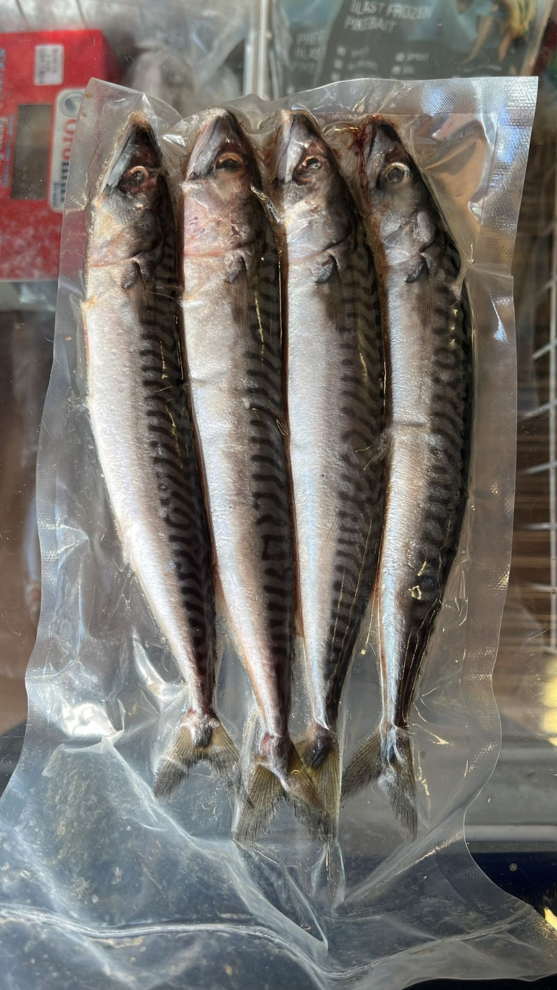 Joey Mackerel 4 pcs/pack